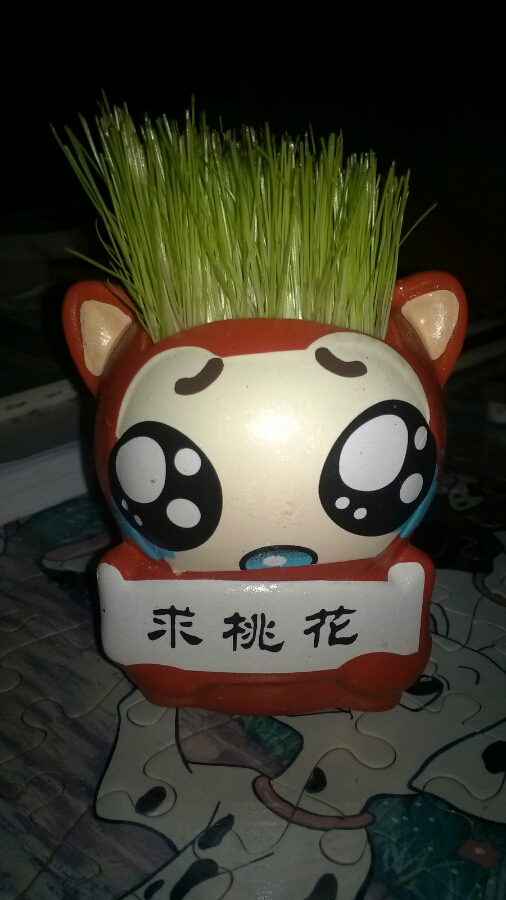 缘分