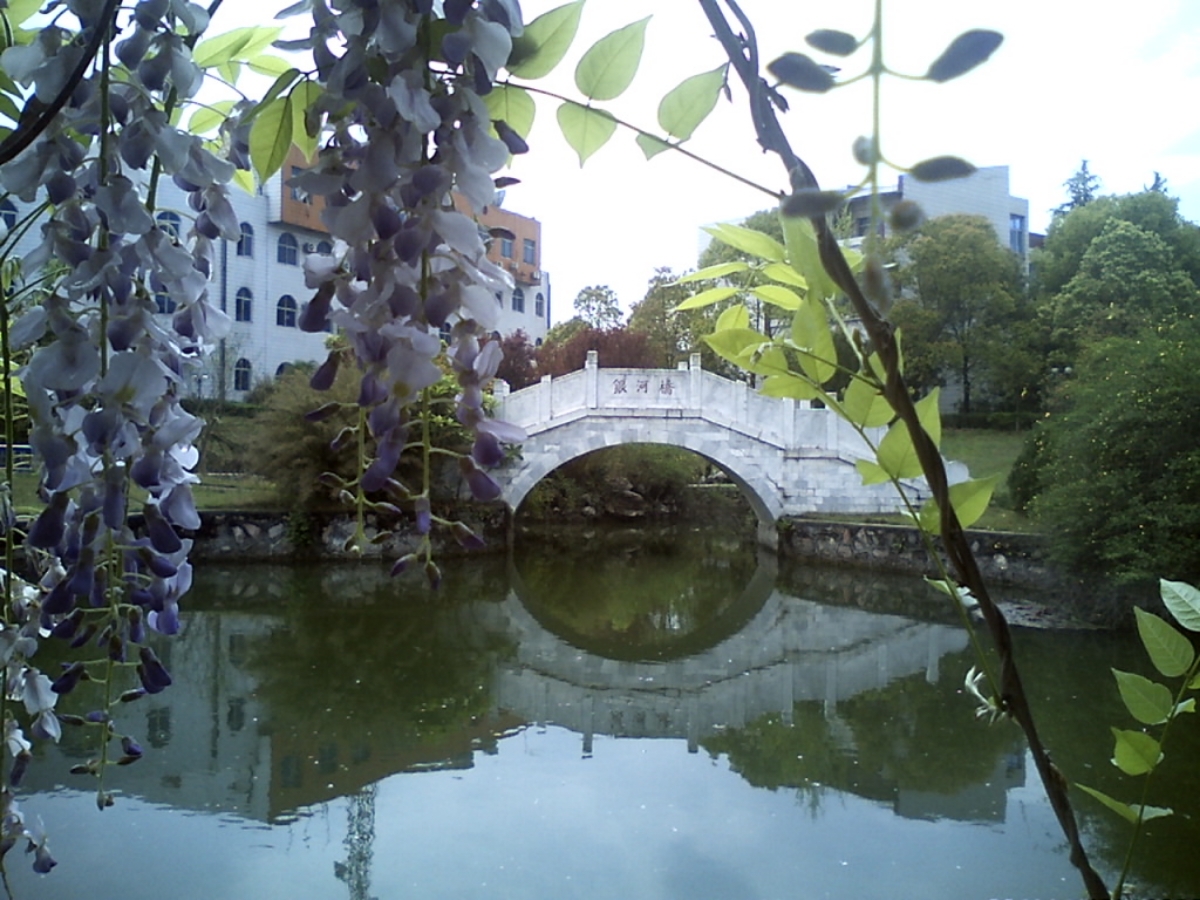 美丽风景