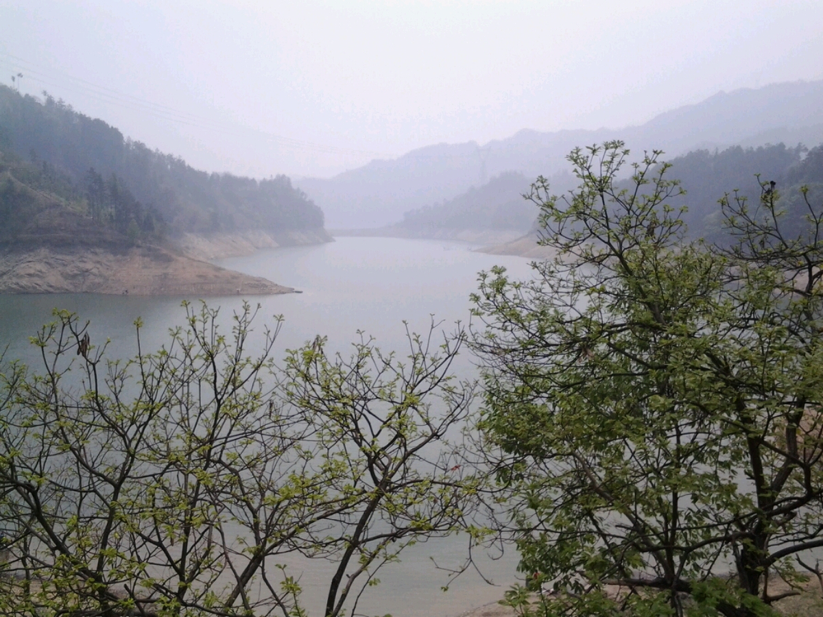 景