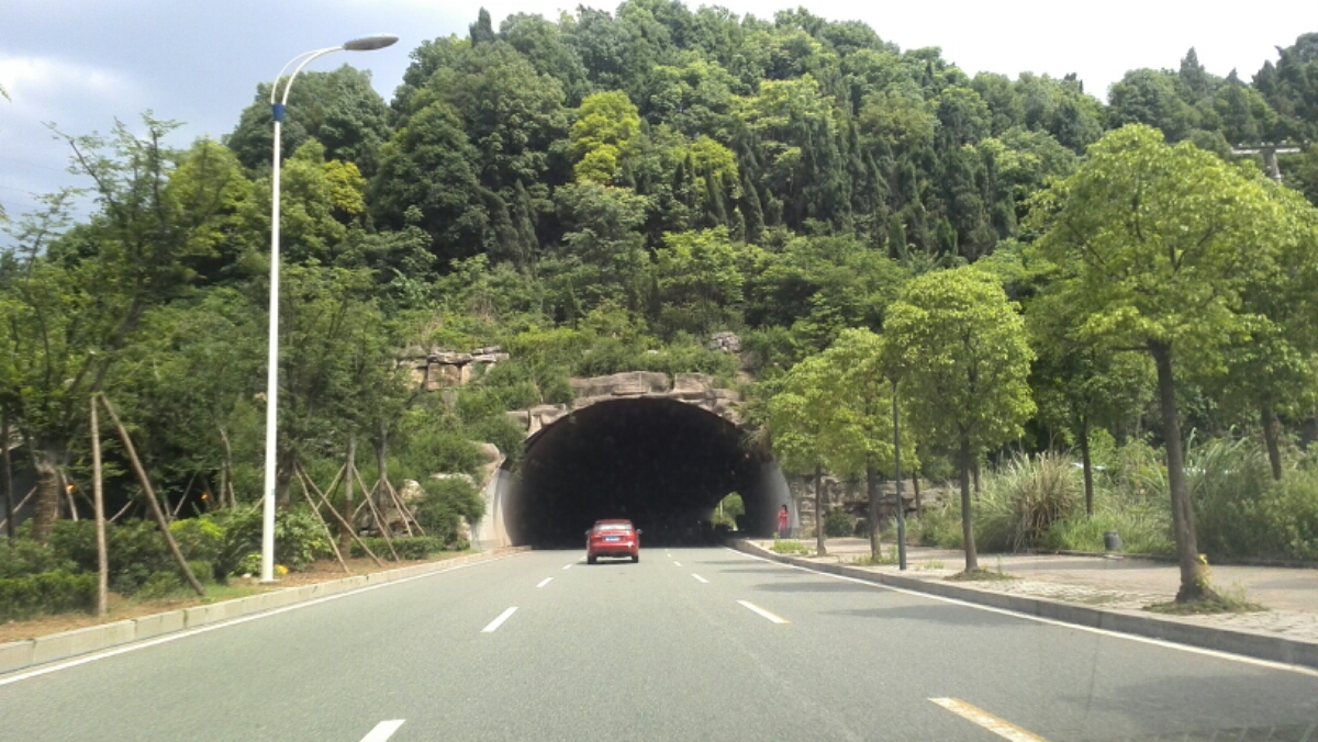 发展大道树帘隧道