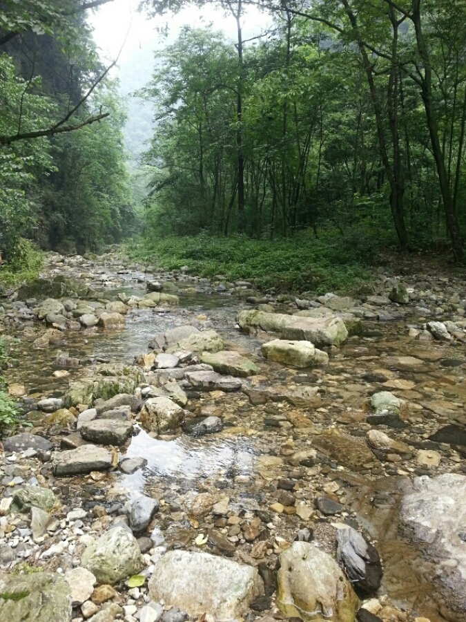 峡谷风光