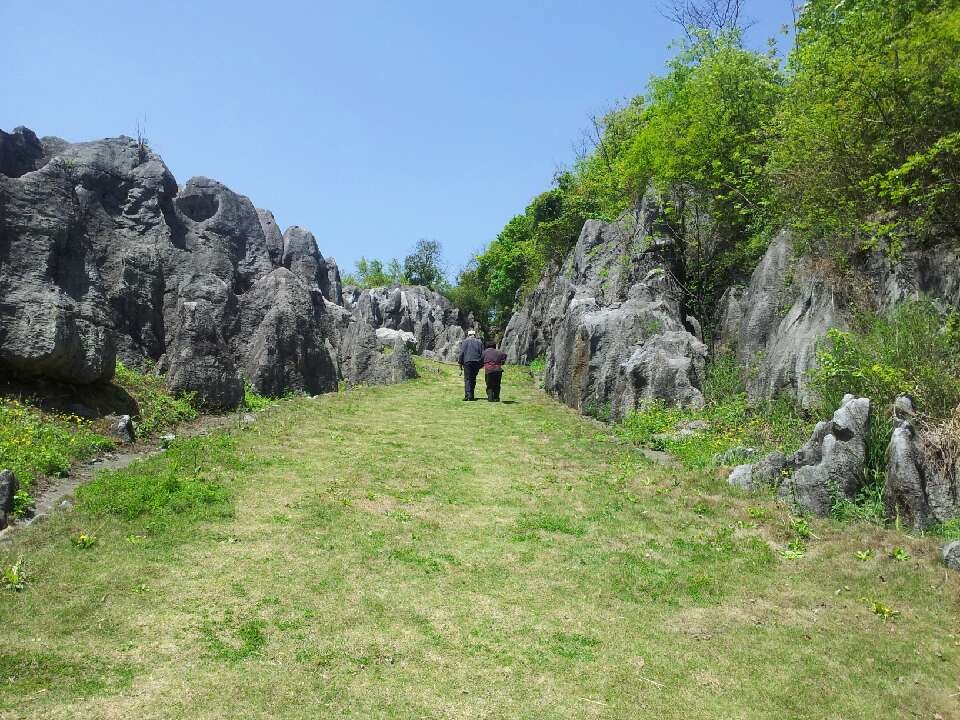 人生的风景