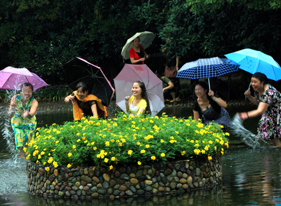 雨中乐