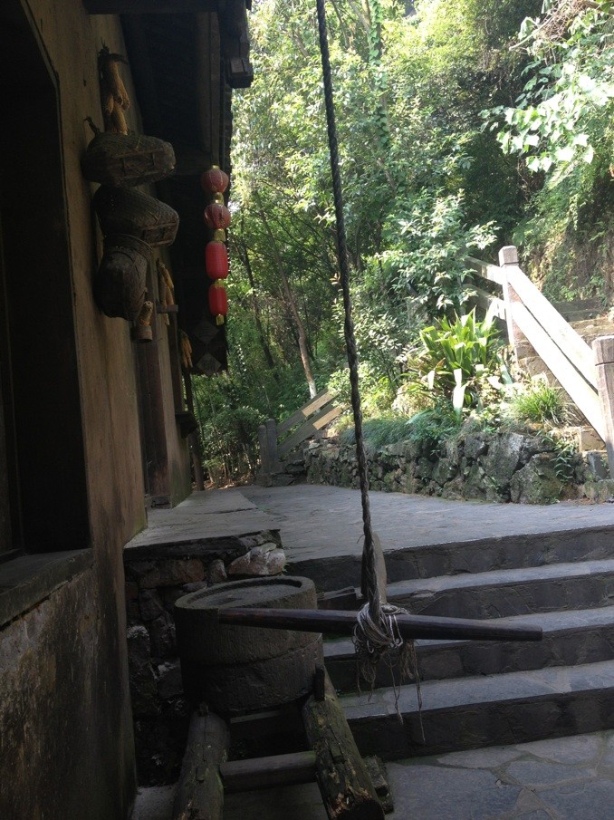 竹林深处