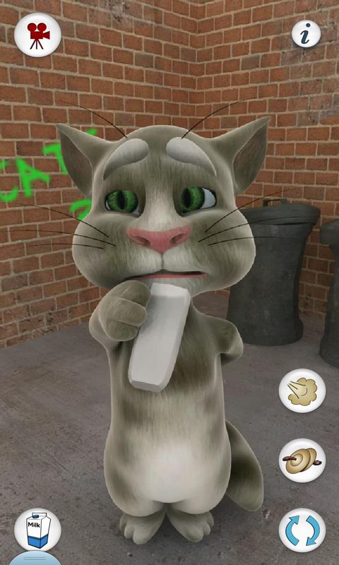 会说话的汤姆猫