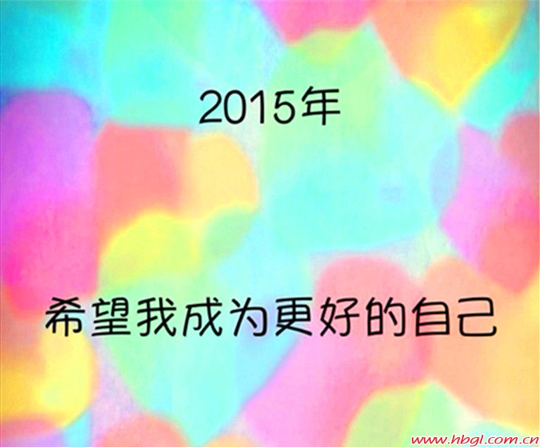 工作回顾及新年展望