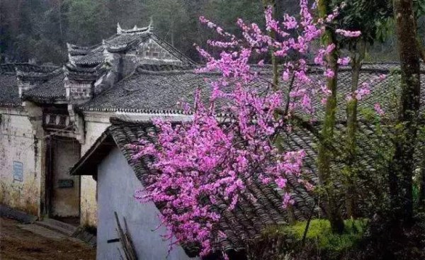 南边游记