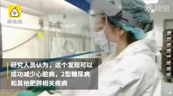 基因编辑让人躺着也能瘦？还可减少疾病？小鼠成功了  CNMO