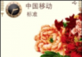 全家福 2011